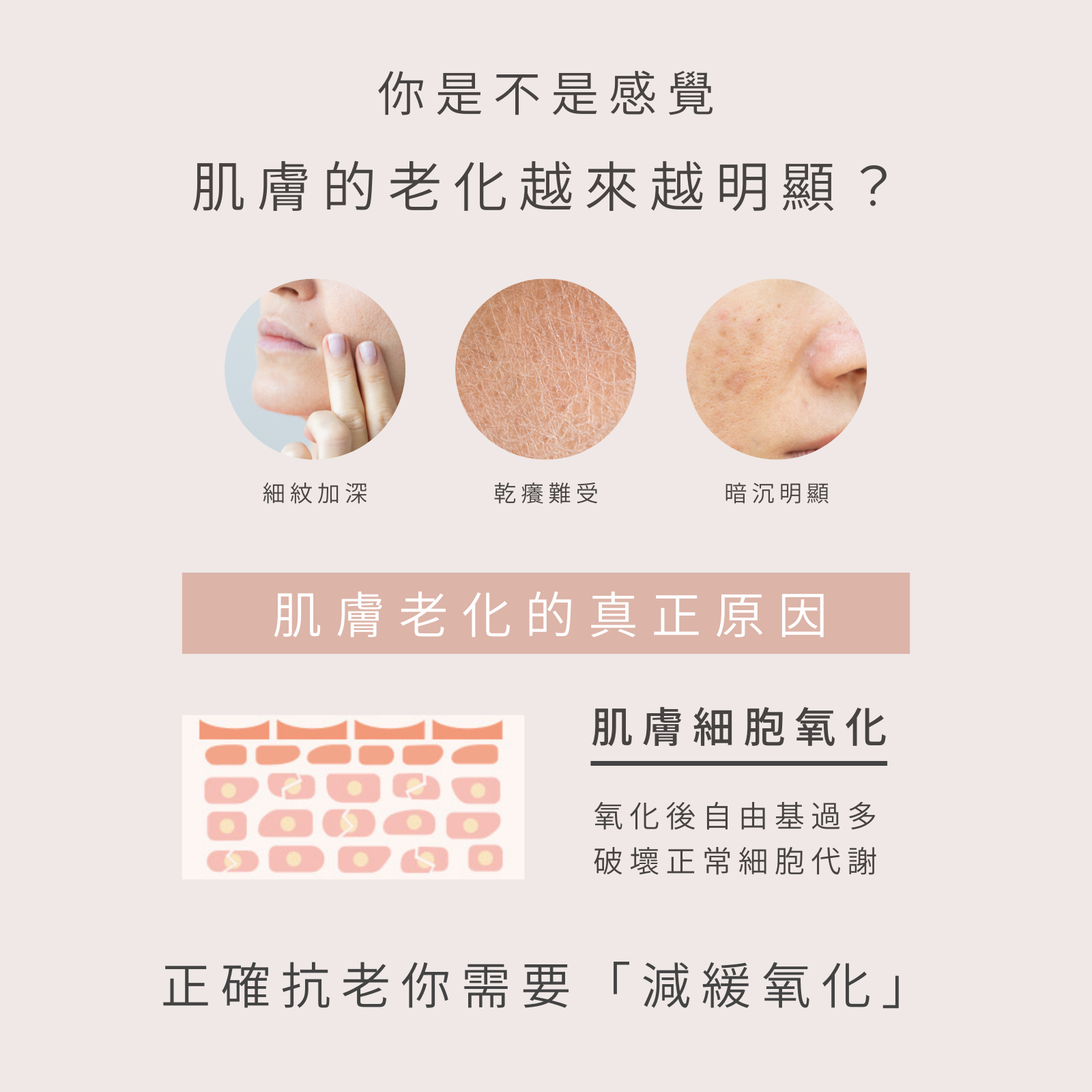 【夏日優惠】富勒烯肌活導入精華液