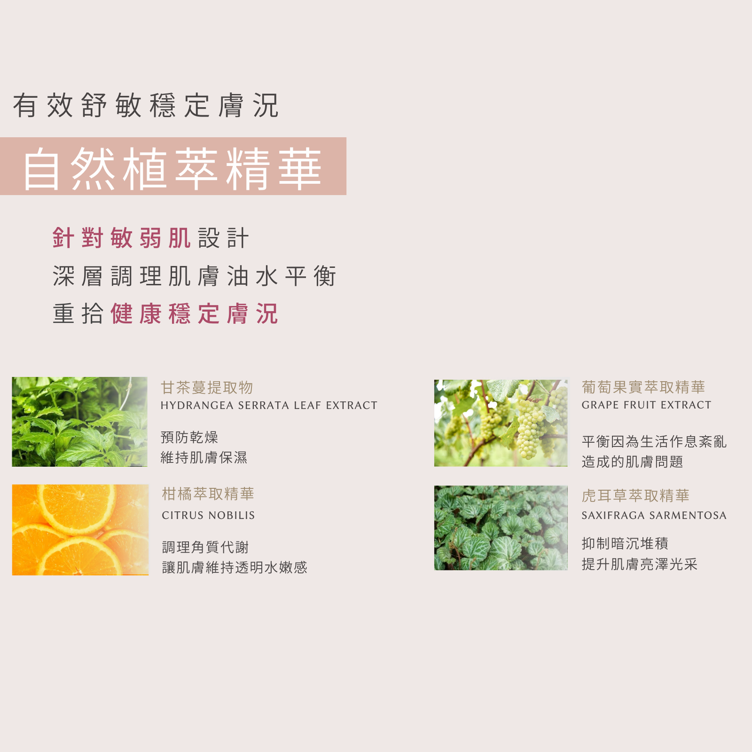【夏日優惠】富勒烯肌活導入精華液